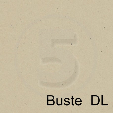 Special Paper Buste in carta FLORA BEIGE DL 130gr