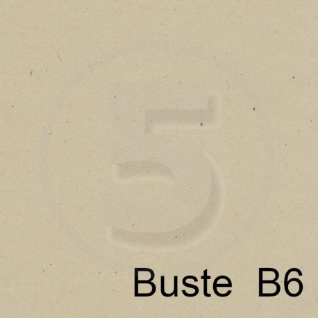 Special Paper Buste in carta FLORA BEIGE B6 130gr