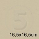 Cartoncino doppio FLORA BEIGE 16,5x16,5 240gr