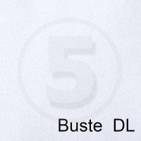 Special Paper Buste in carta PERGAMENA BIANCO DL 110gr