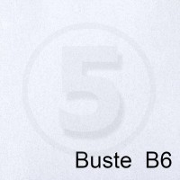 Special Paper Buste in carta PERGAMENA BIANCO B6 110gr