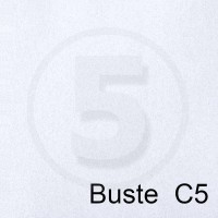 Special Paper Buste in carta PERGAMENA BIANCO C5 110gr