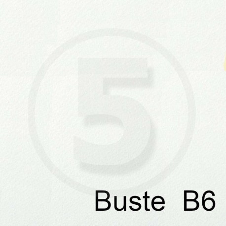 Special Paper Buste in carta TINTORETTO BIANCO B6 95gr